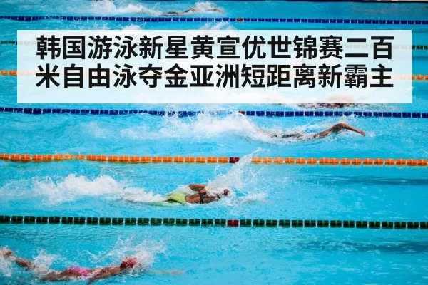 swimming competition pool