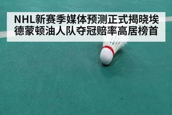 NHL新赛季媒体预测正式揭晓埃德蒙顿油人队夺冠赔率高居榜首
